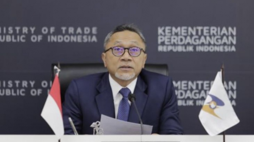 Indonesia và Liên minh kinh tế Á -Âu bắt đầu đàm phán FTA